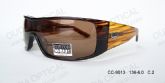 Adult Acetate Sunglasses (9)